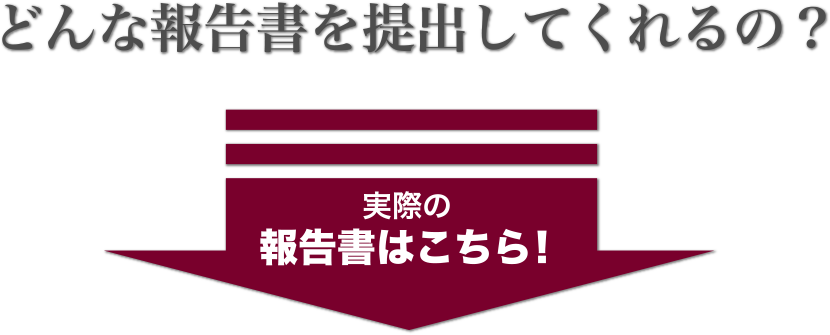 どんな報告書を提出してくれるの？実際の報告書はこちら！